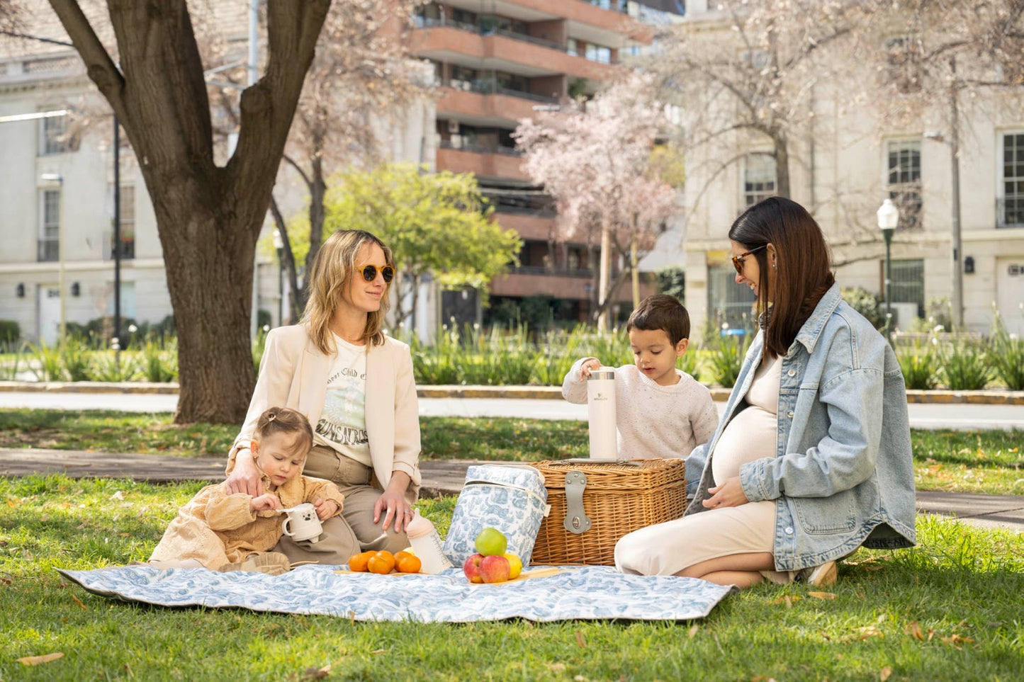 Manta Pic-Nic Andino